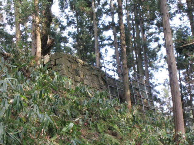 村上城・平櫓跡を下から見上げる